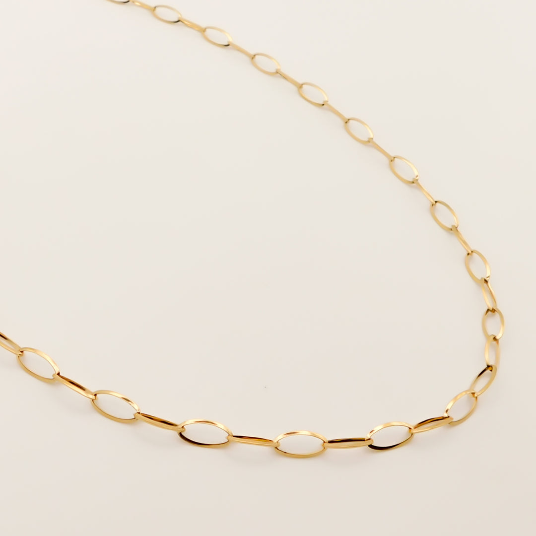 Lyra Oval Paperclip Chain Necklace, Gold