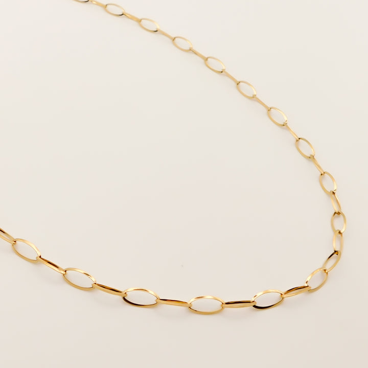 Lyra Oval Paperclip Chain Necklace, Gold